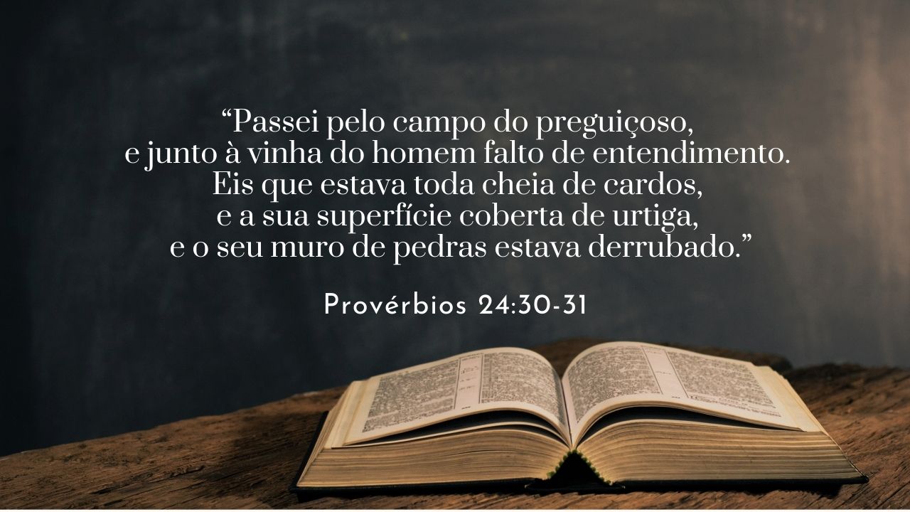 Quando falta entendimento, falta dinheiro – Desafio 22 de 100