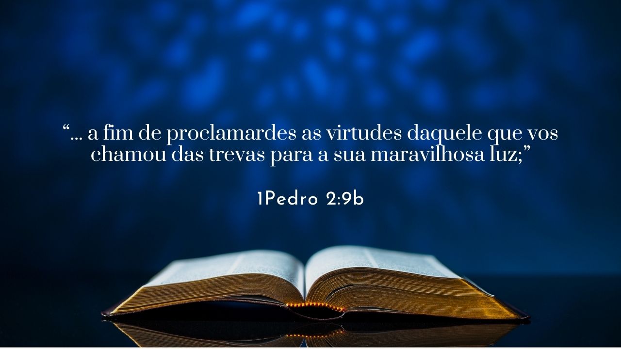 Raça humana ou raça eleita – Parte 2 – Por quê ou para quê? – 27 de 100