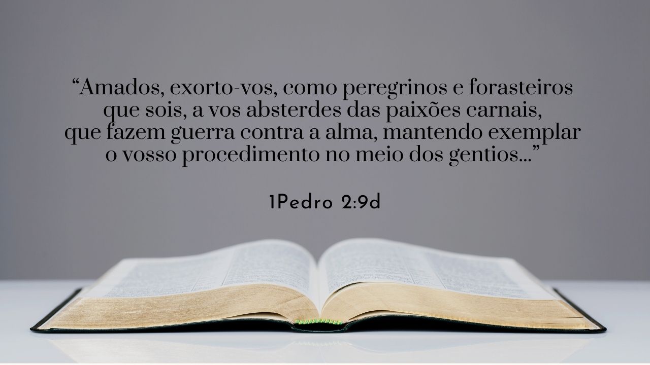 Raça humana ou raça eleita – Parte 4 – Procedimento exemplar – 29 de 100