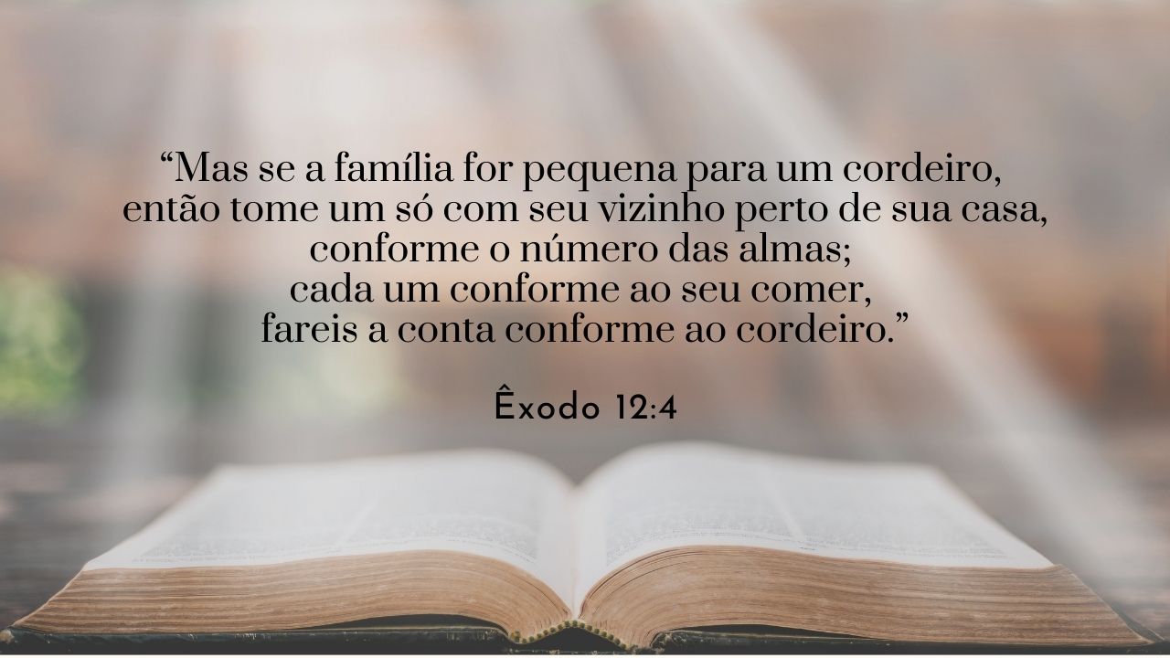 Abundância não é desperdício – Desafio 12 de 100